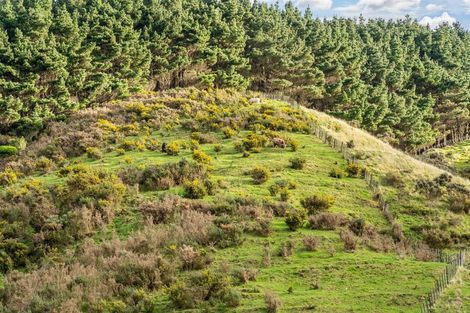 Photo of property in 1151 Paekakariki Hill Road, Paekakariki Hill, Porirua, 5381