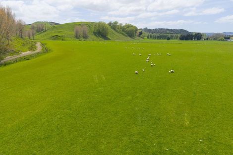 Photo of property in 643c Pohangina Road, Ashhurst, 4884