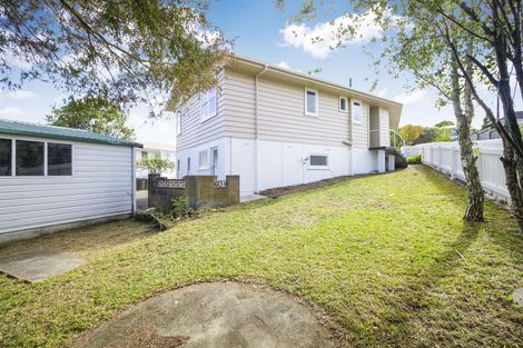 Photo of property in 64 Ellis Avenue, Mount Roskill, Auckland, 1041