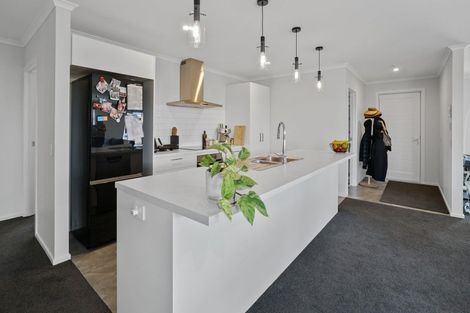 Photo of property in 46 Borck Avenue, Appleby, Richmond, 7020