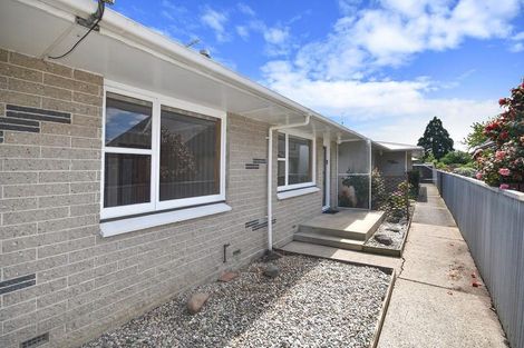 Photo of property in 8c Ayr Street, Mosgiel, 9024