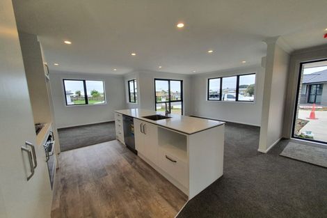 Photo of property in 69 Hinemoa Street, Levin, 5510