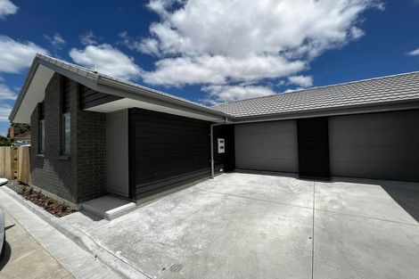 Photo of property in 19a Normandy Avenue, Melville, Hamilton, 3206