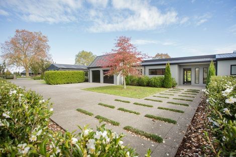 Photo of property in 18 Orchard Place, Matamata, 3472