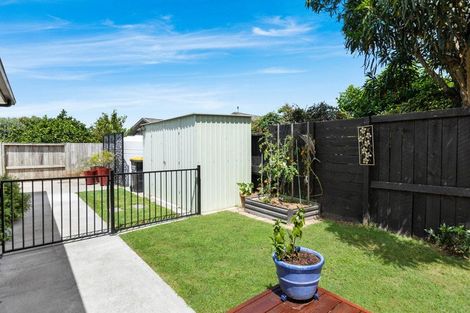 Photo of property in 53b George Street, Morrinsville, 3300