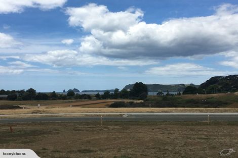 Photo of property in 7 Powhiri Place, Wharekaho, Whitianga, 3510