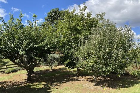 Photo of property in 146 Horeke Road, Okaihau, 0475