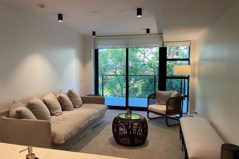 Photo of property in 307/8 Kingsland Terrace, Kingsland, Auckland, 1021