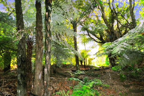 Photo of property in 83 Leigh Road, Leigh, Warkworth, 0985