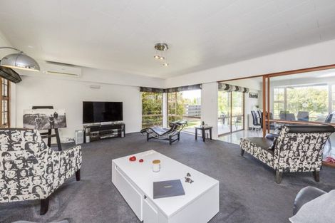 Photo of property in 33 Dittmer Drive, Awapuni, Palmerston North, 4412
