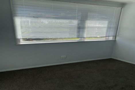 Photo of property in 65 Winstone Avenue, Chartwell, Hamilton, 3210