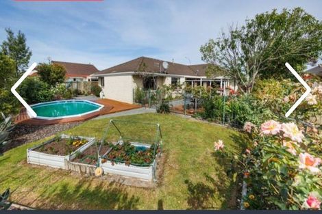 Photo of property in 155 Milson Line, Milson, Palmerston North, 4414