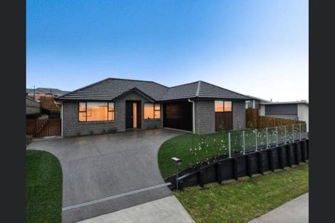 Photo of property in 19 Waireka Road, Rototuna North, Hamilton, 3210