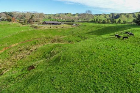 Photo of property in 39 Otapouri Road, Owhango, 3989