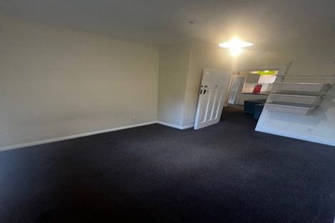 Photo of property in 217 Aro Street, Aro Valley, Wellington, 6021