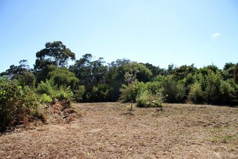 Photo of property in 463 Henderson Bay Road, Houhora, Pukenui, 0484
