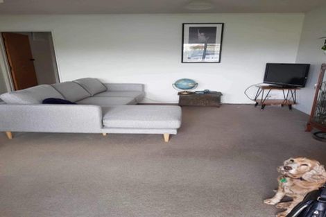 Photo of property in 39c Scantlebury Street, Tauranga South, Tauranga, 3112