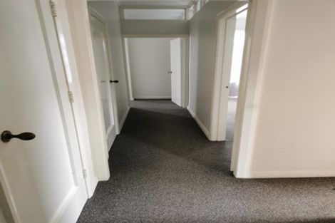 Photo of property in 14 Massey Avenue, Greenlane, Auckland, 1061