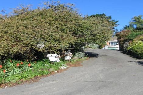 Photo of property in 19 Roseneath Place, Cashmere, Christchurch, 8022