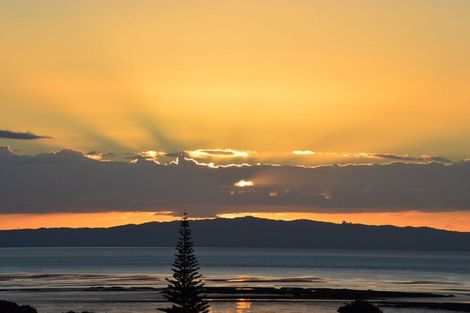 Photo of property in 103 Campbell Street, Thames, 3500