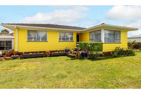 Photo of property in 67 Hindmarsh Street, Henderson, Auckland, 0612