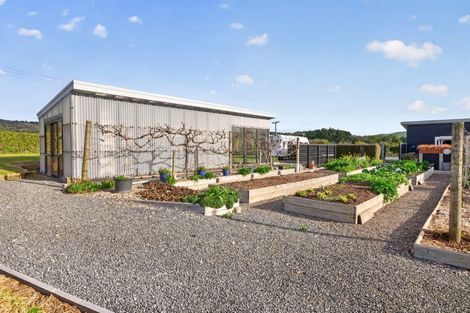 Photo of property in 157e Kaiate Falls Road, Waitao, Tauranga, 3175