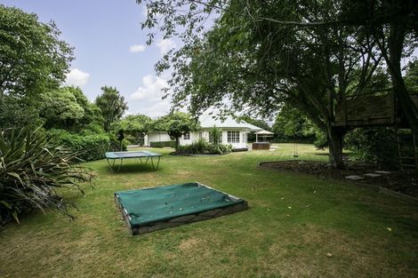 Photo of property in 40 Cowley Drive, Leamington, Cambridge, 3432