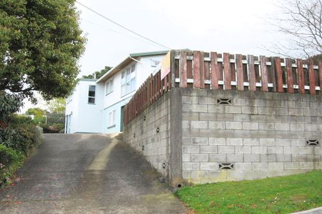 Photo of property in 117 Brunton Crescent, Thames, 3500