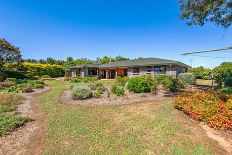 Photo of property in 168 Parewanui Road, Bulls, 4894