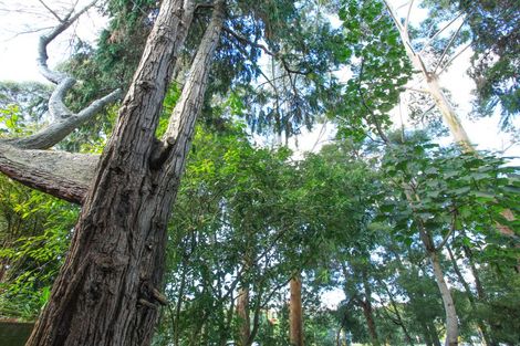 Photo of property in 1133a River Road, Flagstaff, Hamilton, 3210