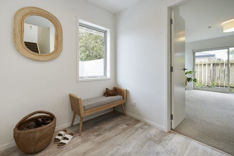 Photo of property in 75b Campbell Road, Mount Maunganui, 3116