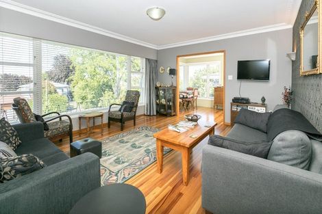 Photo of property in 10 Riverview Terrace, Fairfield, Hamilton, 3214