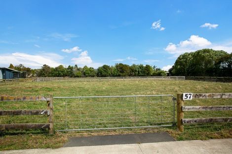 Photo of property in 57 Saint Kilda Road, Cambridge, 3434