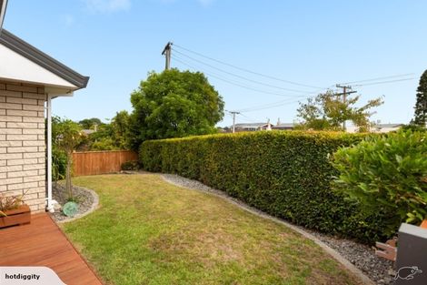 Photo of property in 9 Jefferson Place, Brookfield, Tauranga, 3110