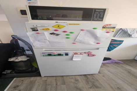 Photo of property in 14 Duddingstone Steps, North East Valley, Dunedin, 9010