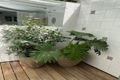 Photo of property in 45a Asquith Avenue, Mount Albert, Auckland, 1025