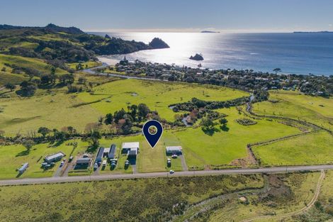 Photo of property in 136 Te Punga Road, Whangapoua, Coromandel, 3582