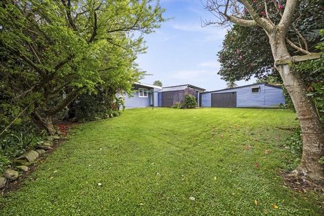 Photo of property in 3 Rangauri Street, Manaia, 4612