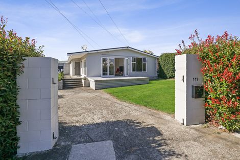 Photo of property in 119 College Street, Te Awamutu, 3800