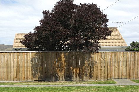 Photo of property in 34 Litchfield Street, Redwoodtown, Blenheim, 7201