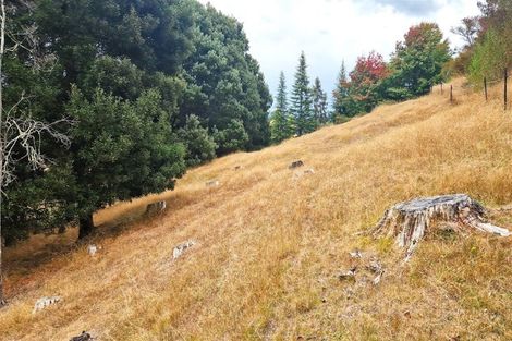 Photo of property in 335 Old Coach Road, Upper Moutere, 7173