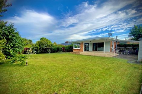 Photo of property in 115 Fitzroy Avenue, Fitzroy, Hamilton, 3206