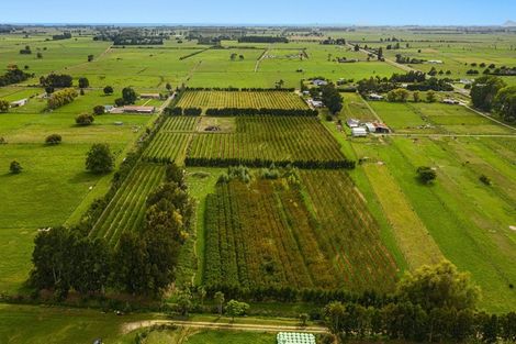 Photo of property in 17 Mccutchan Road, Otakiri, Whakatane, 3193