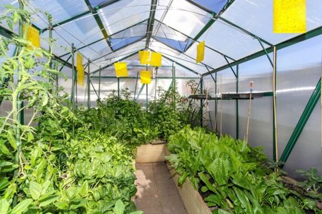 Photo of property in 20 Mangorei Road, Strandon, New Plymouth, 4312