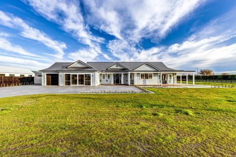 Photo of property in 24 Catalyst Avenue, Leamington, Cambridge, 3432