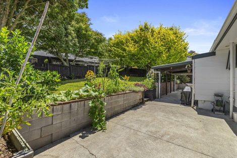 Photo of property in 87 Totara Drive, Pukete, Hamilton, 3200