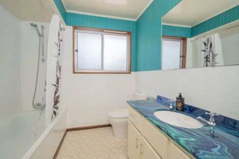 Photo of property in 16 Arnott Street, Alexandra, 9320