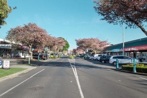 Photo of property in 21a Wellesley Grove, Gate Pa, Tauranga, 3112