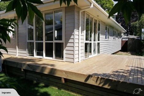 Photo of property in 30a Bond Street, Hamilton East, Hamilton, 3216