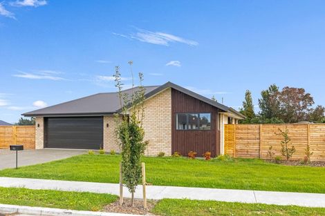 Photo of property in 46 Benn Street, Amberley, 7481